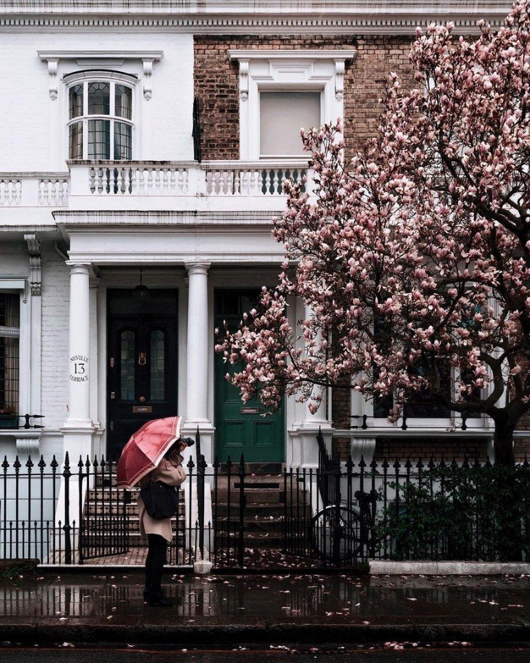 Цветущие улочки Лондона - 7