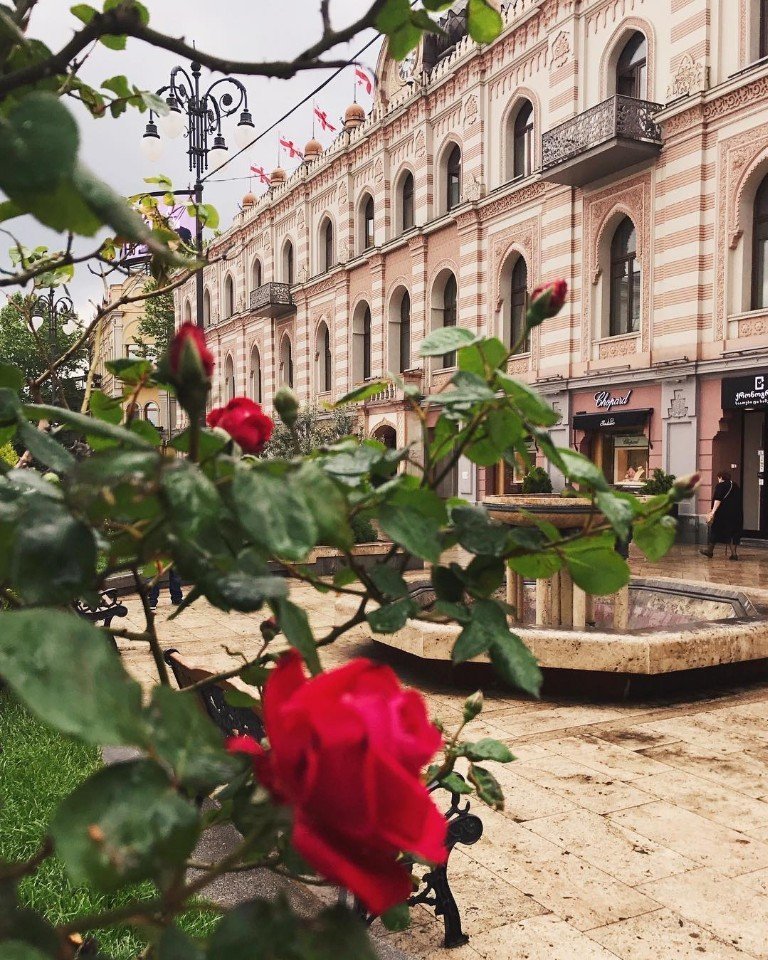 Сейчас бы бросить всё и махнуть в Тбилиси за сочными хинкали, а не вот это вот всё... - 7