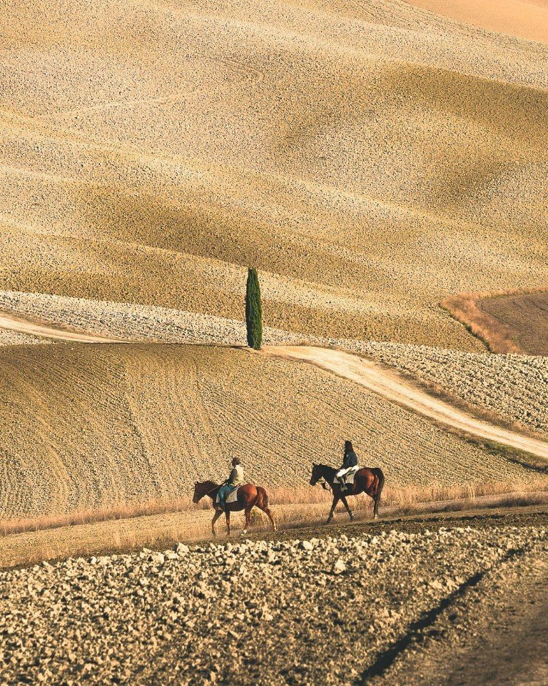 Красота и ничего лишнего, Италия - 6