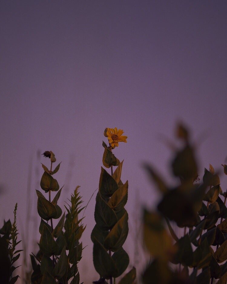 Тем временем в глубинке американского запада