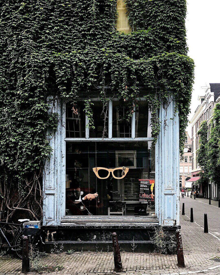 С чем у вас ассoциируется Амстердам? - 7