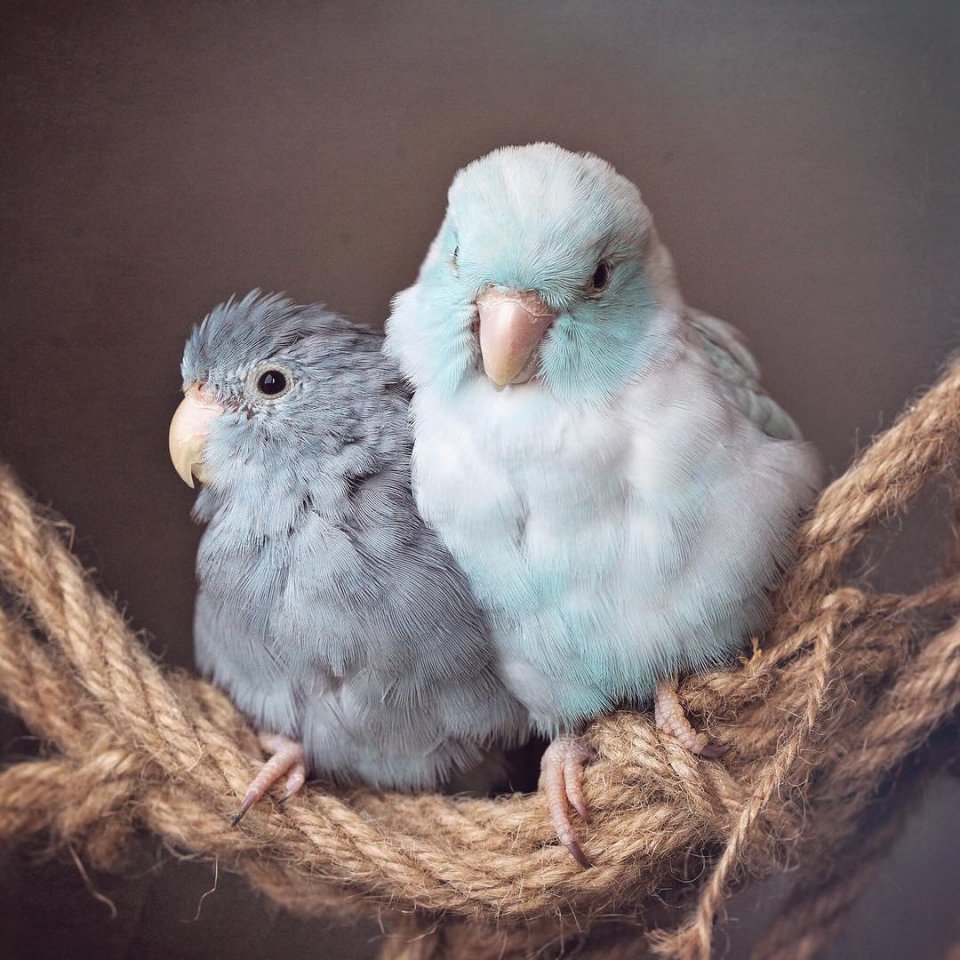 Любите – это красиво... - 5