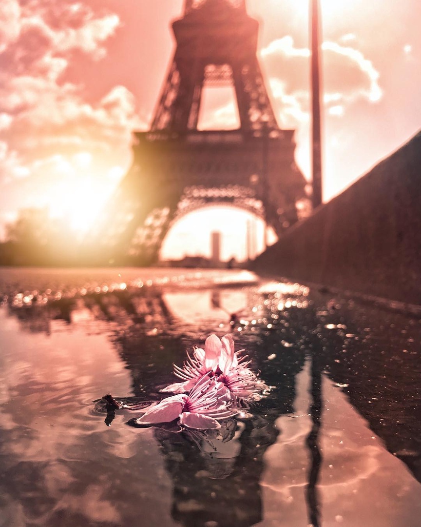 Париж - это страсть