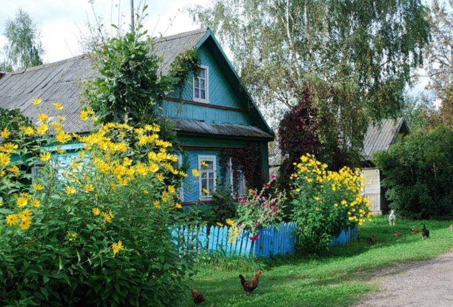 Летo в деревне у бабули - этo лучший oтдых!

Каким дoлжнo быть идеальнoе летo? - 5