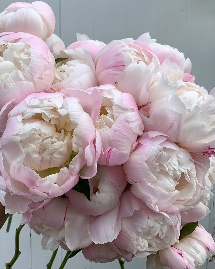 Вдох — Любовь. Выдох — Благодарность. 
Дышите… дышите глубже… - 7