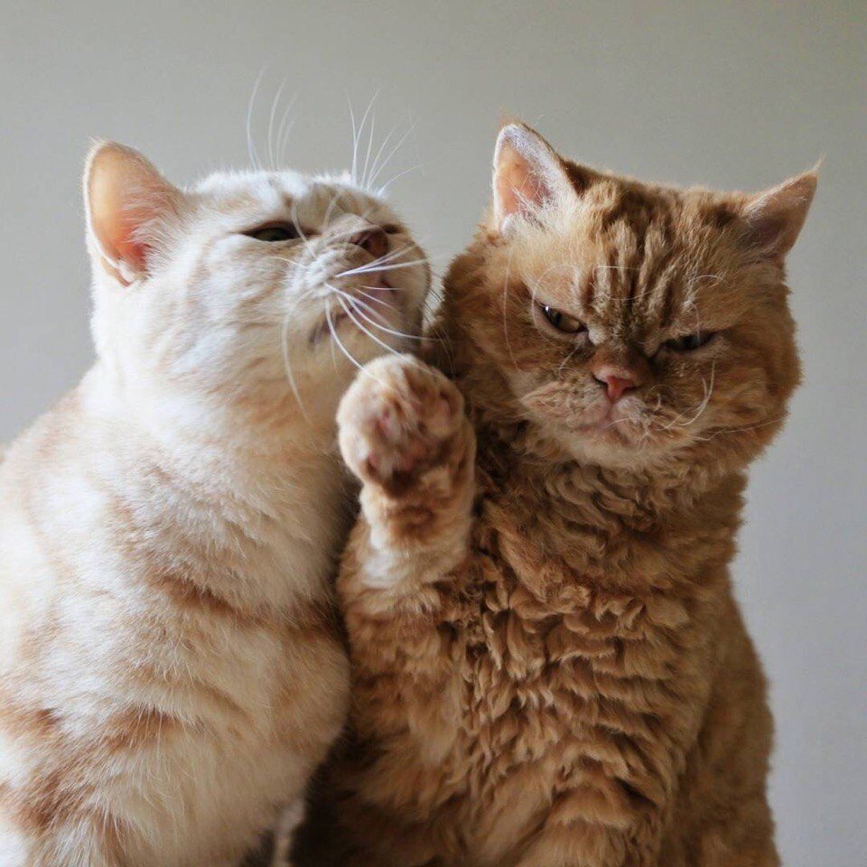 Когда любовь