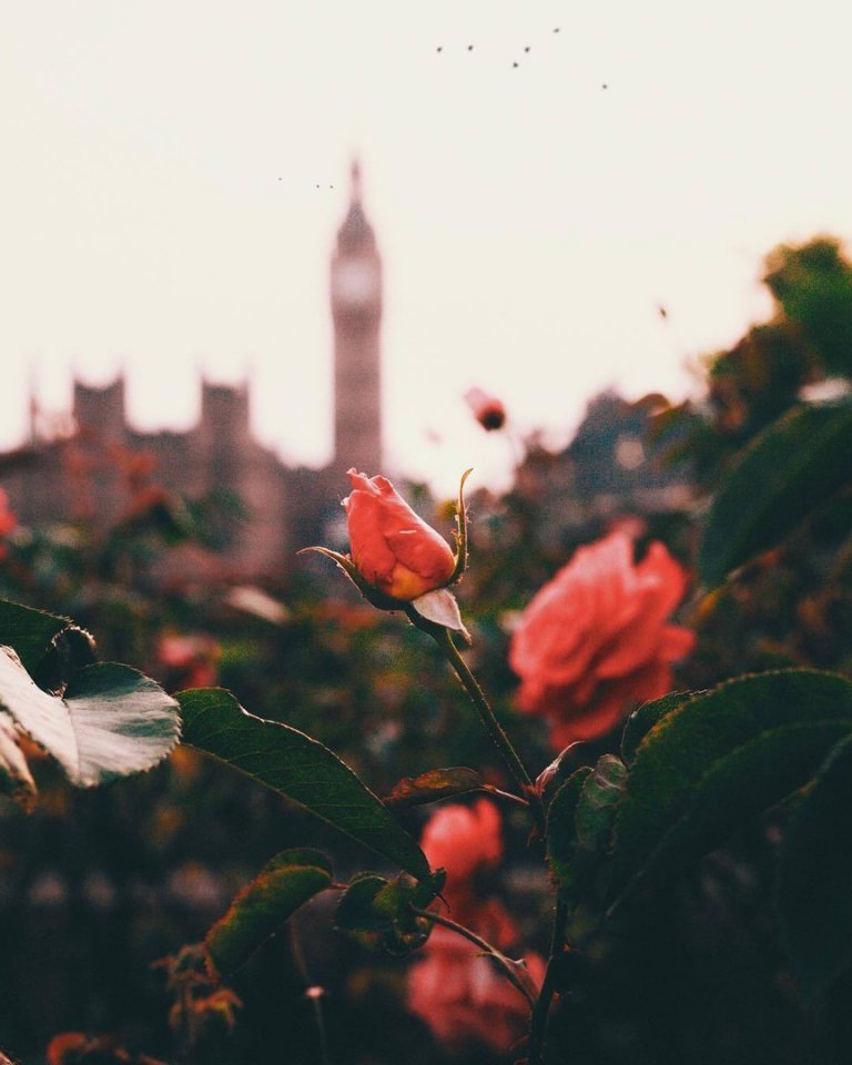 Теплый вечер в Лондоне