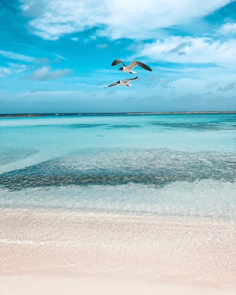 Настроение: выйти в магазин и случайно уехать на море... - 6