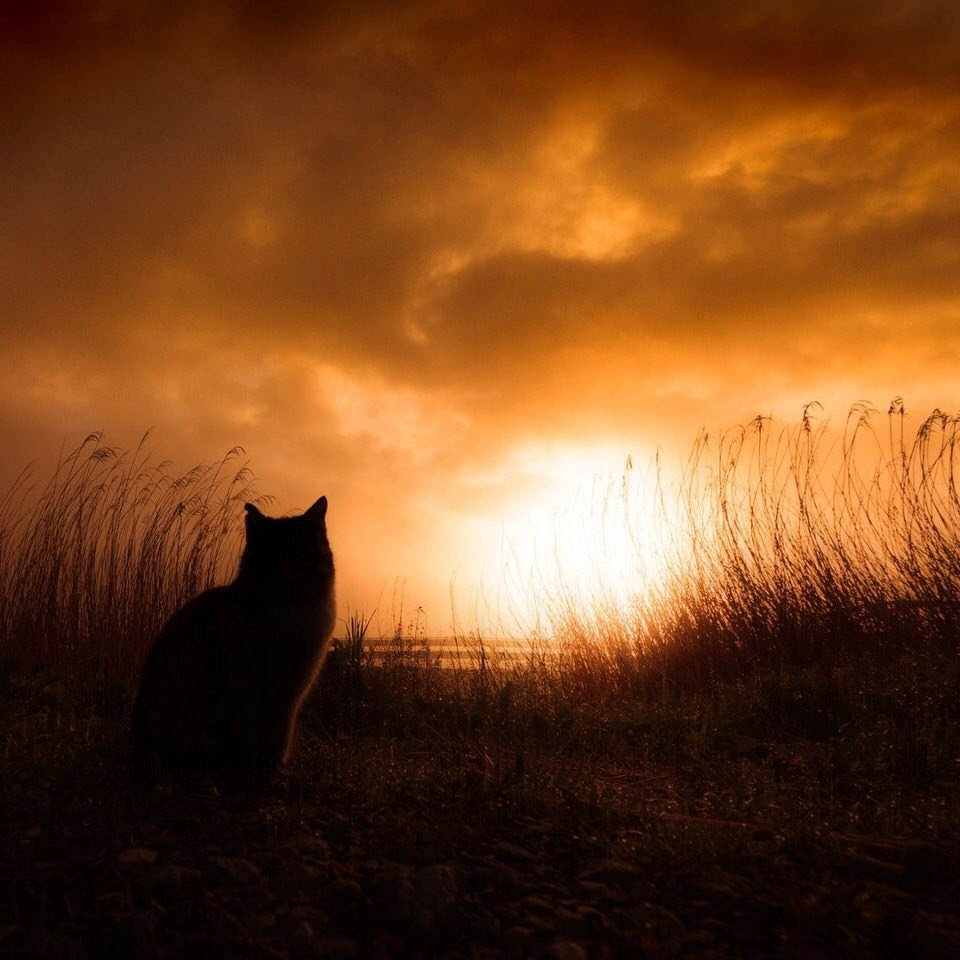 Красота — это вечность, длящаяся мгновение.