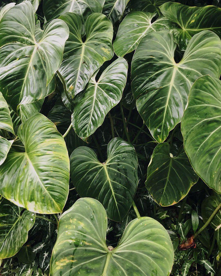 Немного свежести вам в ленту