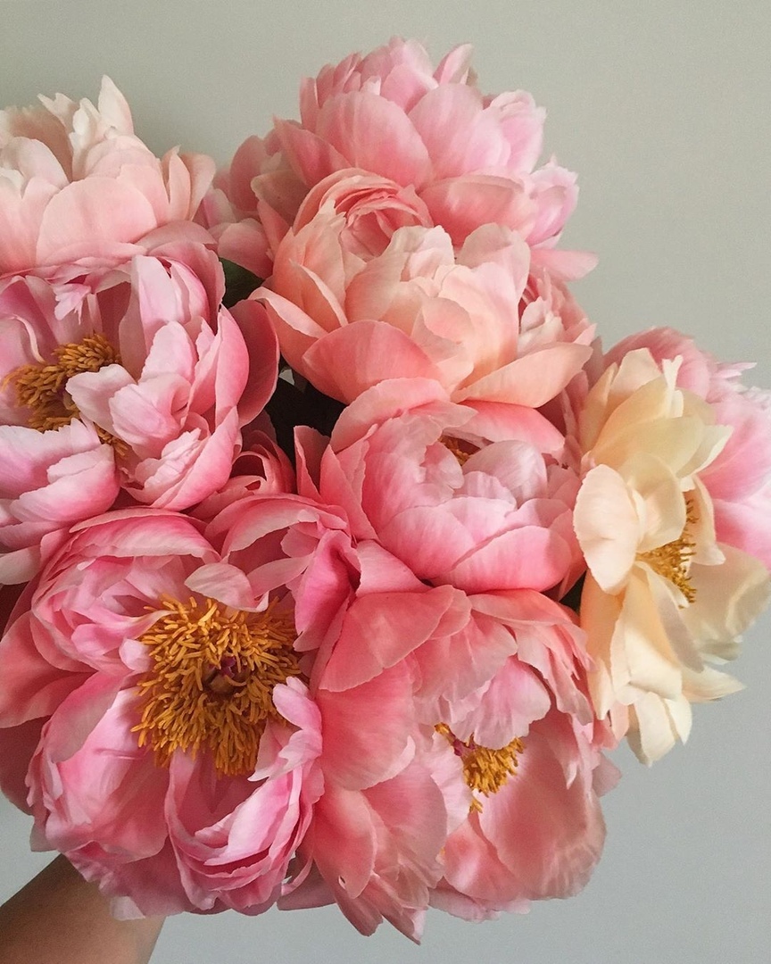 Вдох — Любовь. Выдох — Благодарность. 
Дышите… дышите глубже…