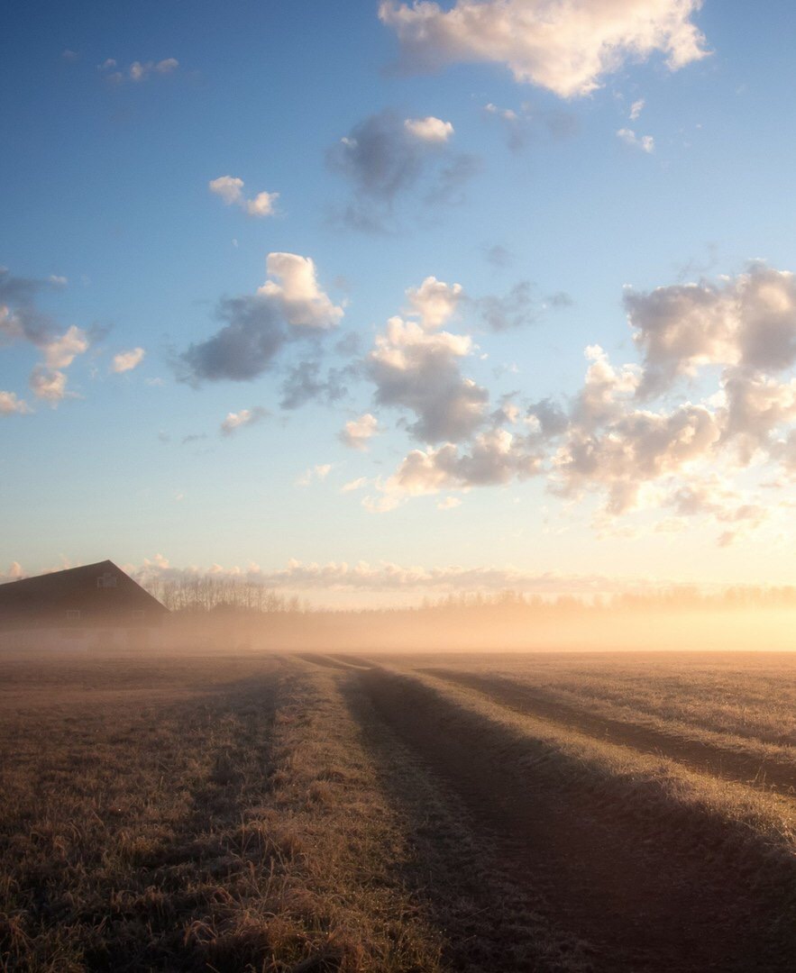 Лучшие дни ещё впереди.