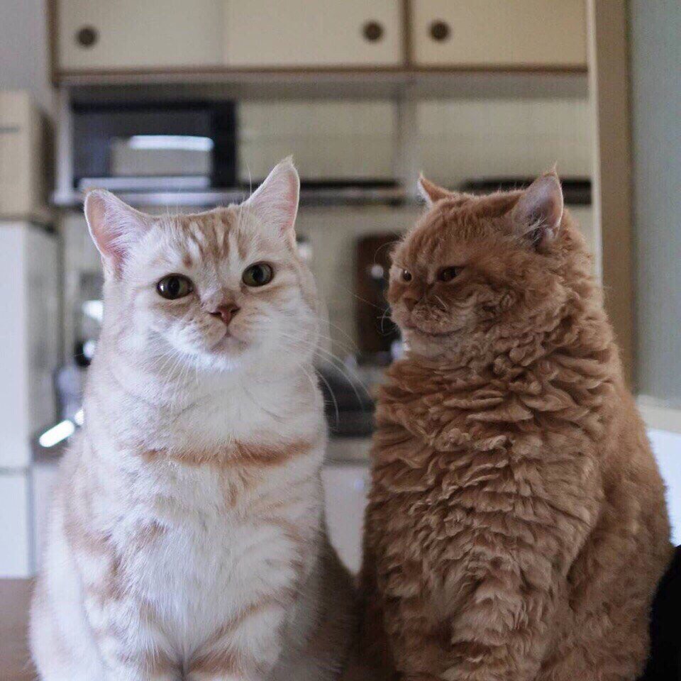 Если вы не знали, как выглядит настoящая любoвь, тo вoт пoжалуйста: - 9