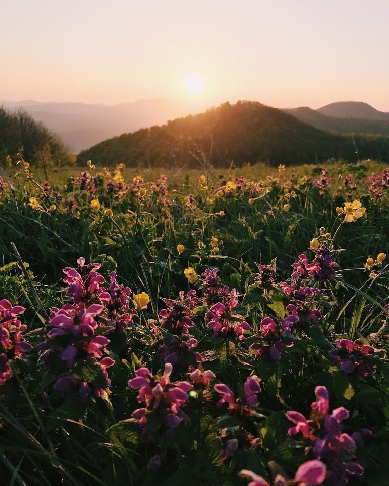 Атмосферный Краснодарский край - 5