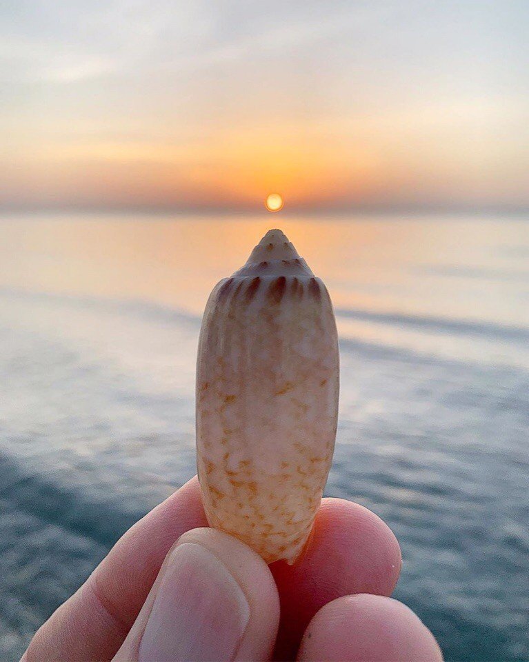 Дары моря - 9