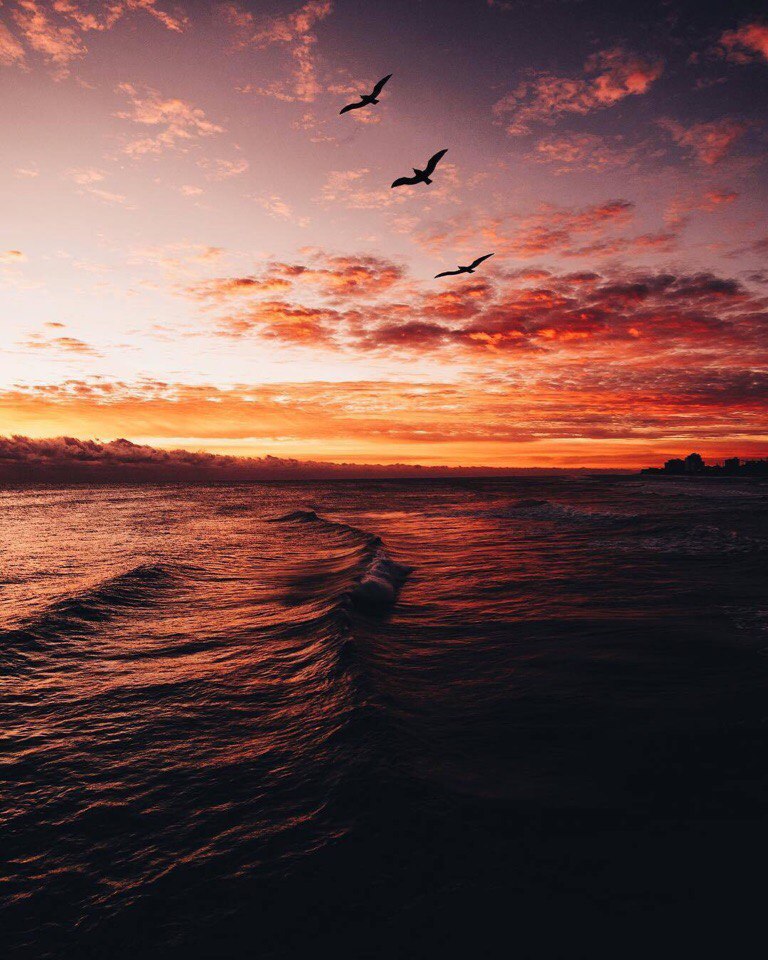 «Вместо тысячи клубов» - 5