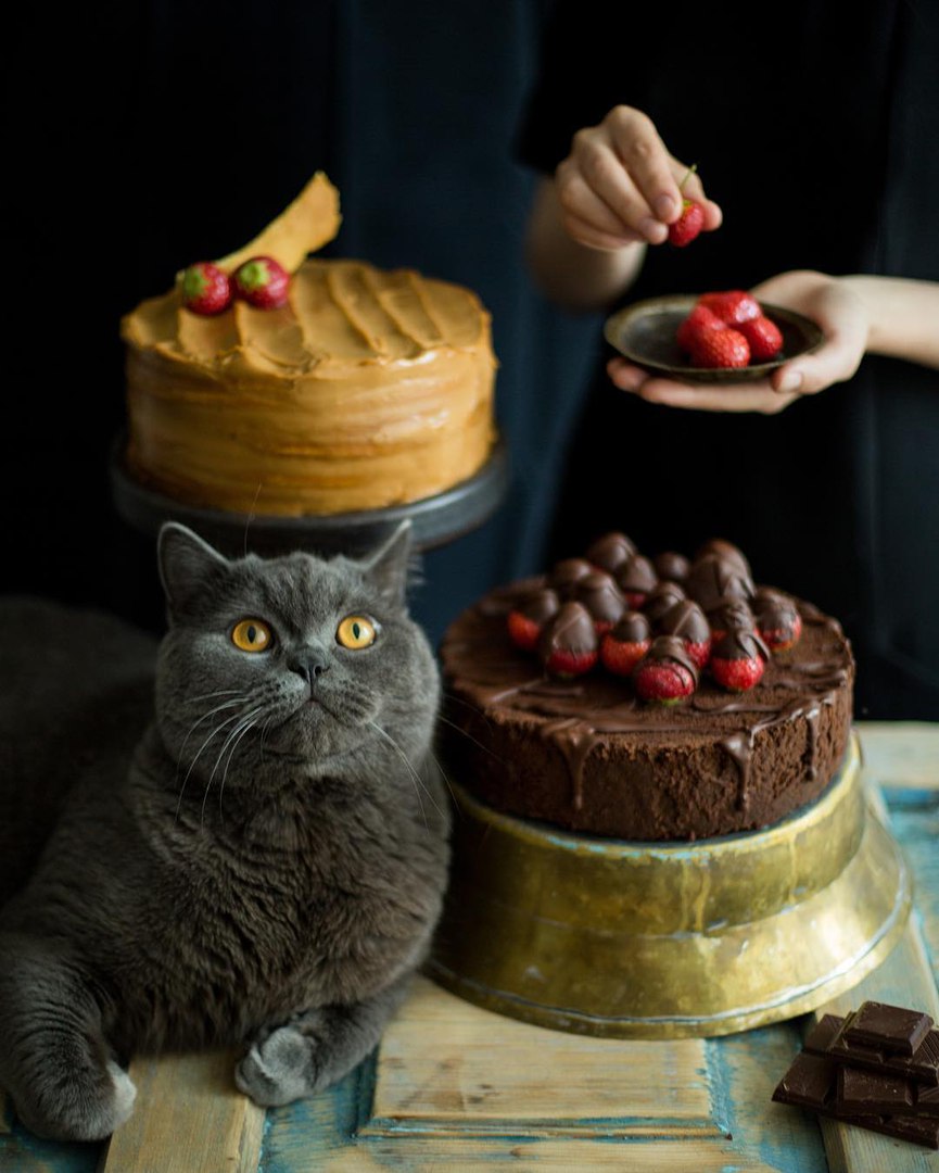 А ведь из маленьких радостей можно сколотить вполне приличное счастье! - 5