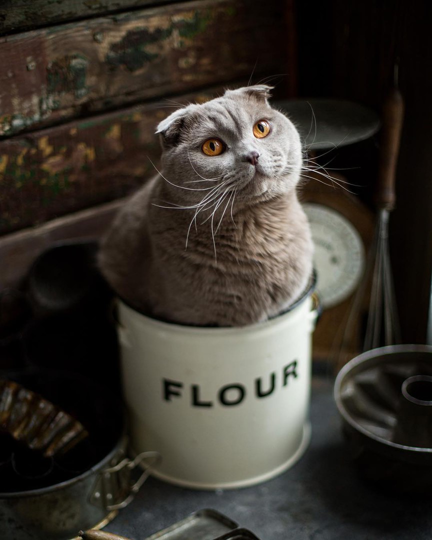 А ведь из маленьких радостей можно сколотить вполне приличное счастье!