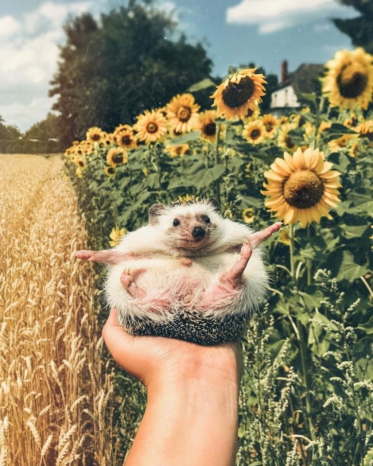— Который час? 
— Середина лета. 
— Хороший час.