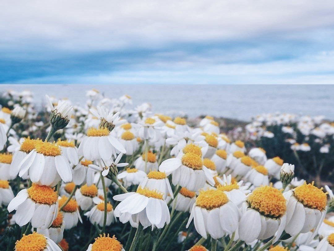 Найди покой в своей душе, всё остальное само найдёт тебя. - 8