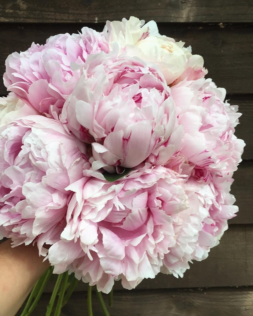 Вдох — Любовь. Выдох — Благодарность. 
Дышите… дышите глубже… - 8