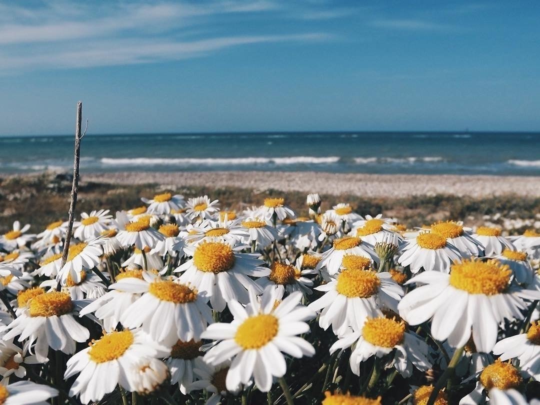 Найди покой в своей душе, всё остальное само найдёт тебя. - 6
