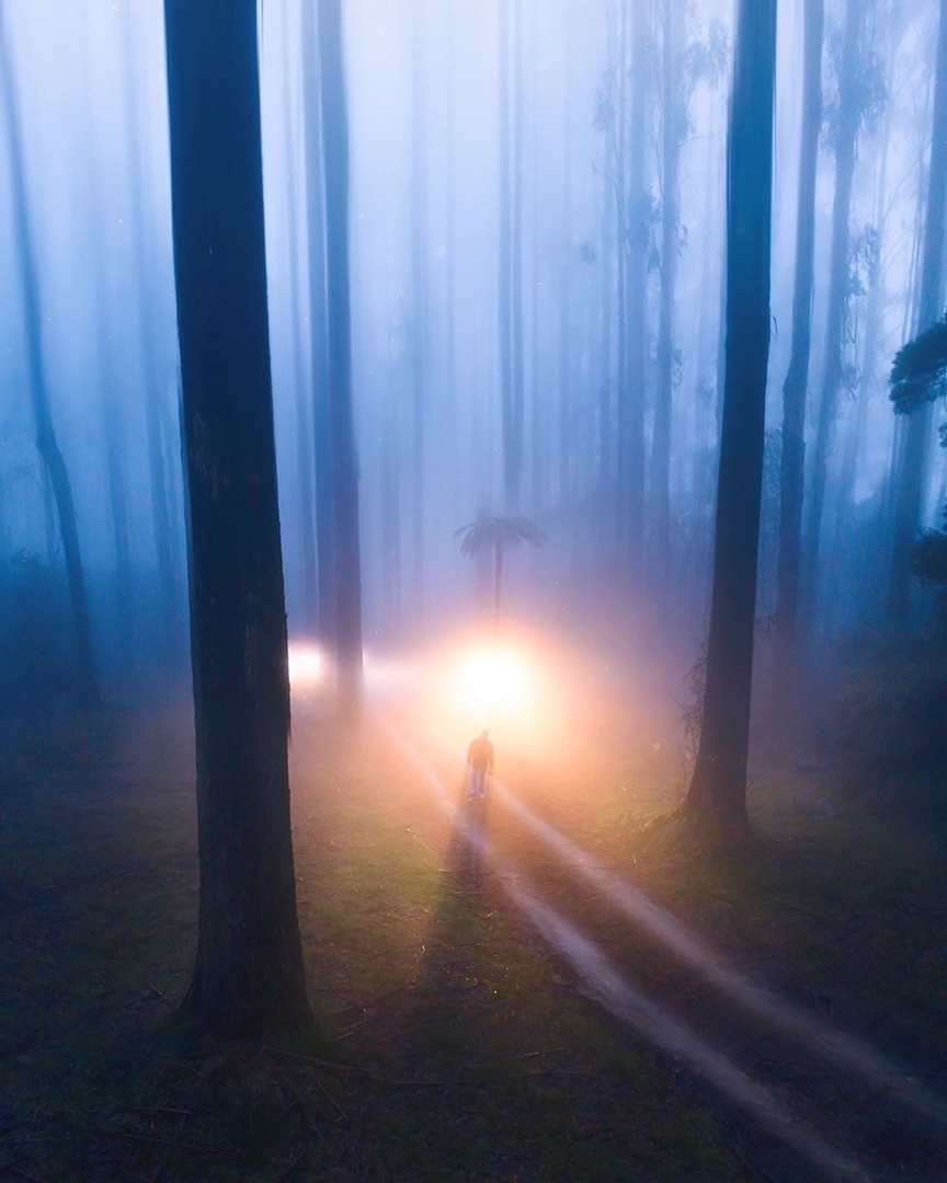 Свет и туман Австралии