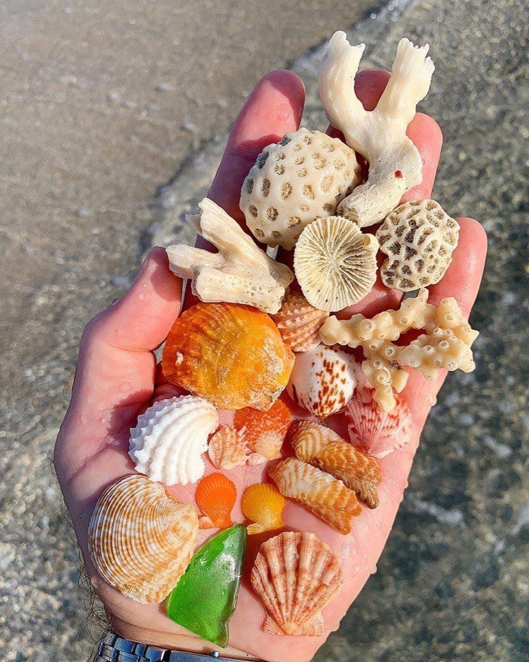 Дары моря - 7