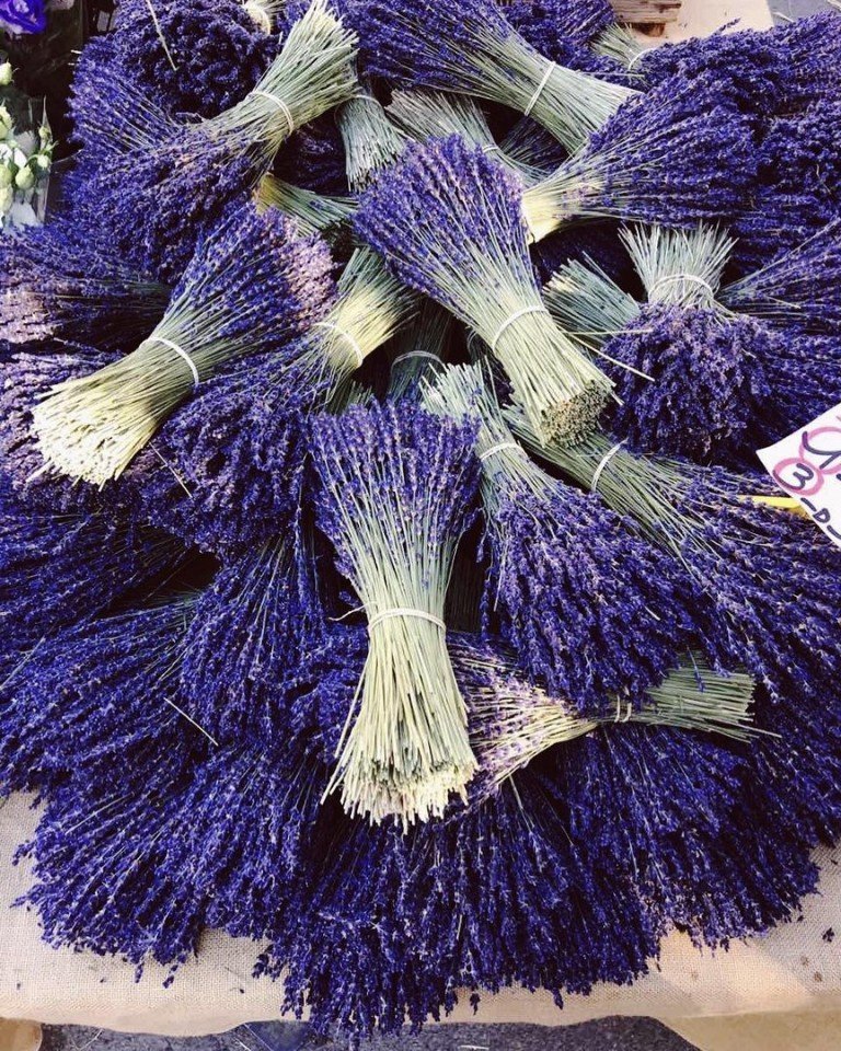 Французские зарисовки - 9