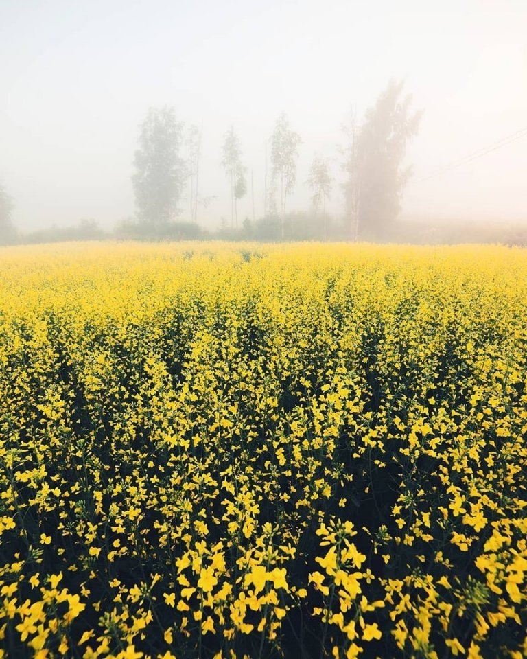 Душа требует счастья!