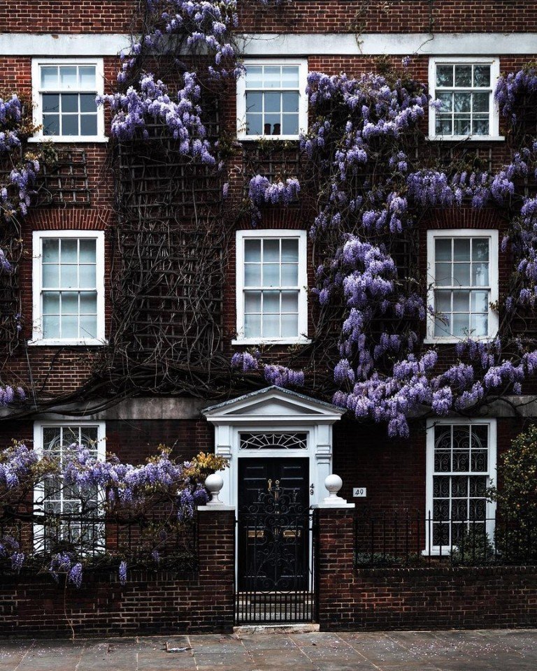Цветущие улочки Лондона - 8
