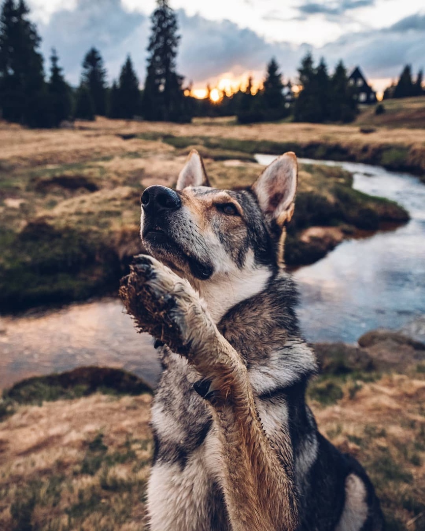 Это хорошо, когда у тебя есть с кем разделить свои мечты.  - 6