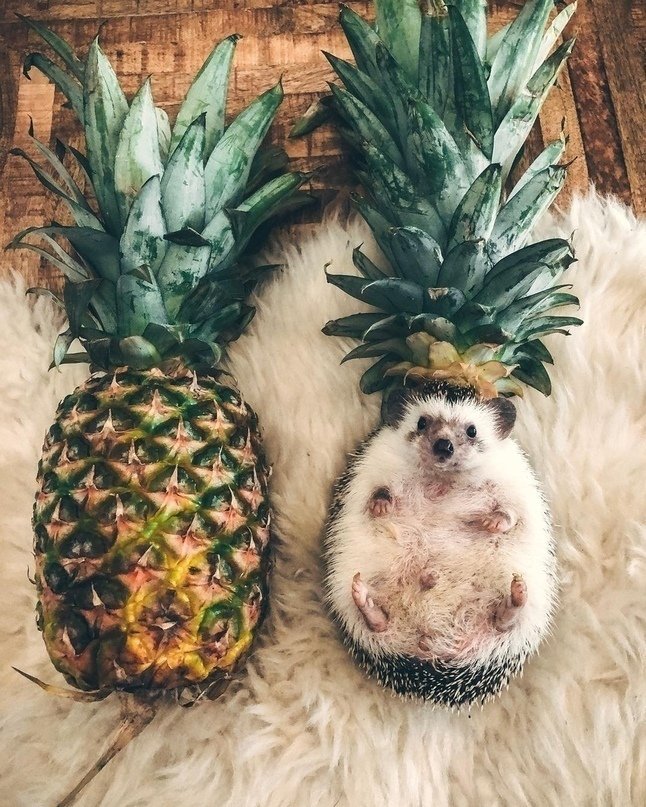 — Который час? 
— Середина лета. 
— Хороший час. - 5