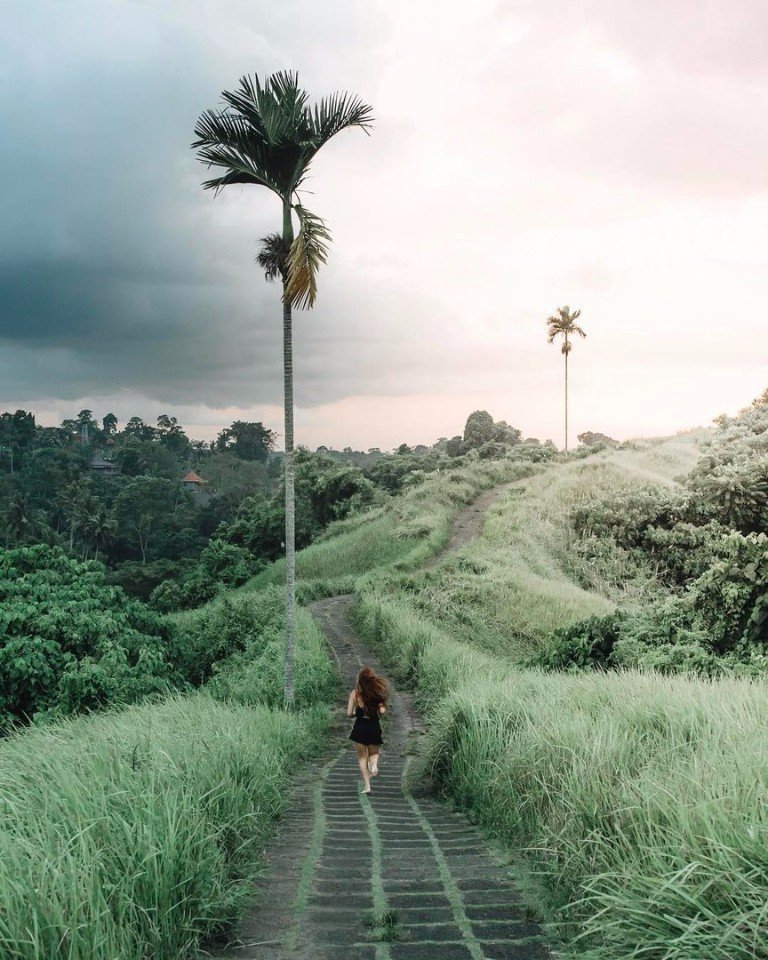 Сочные пейзажи Индонезии - 6