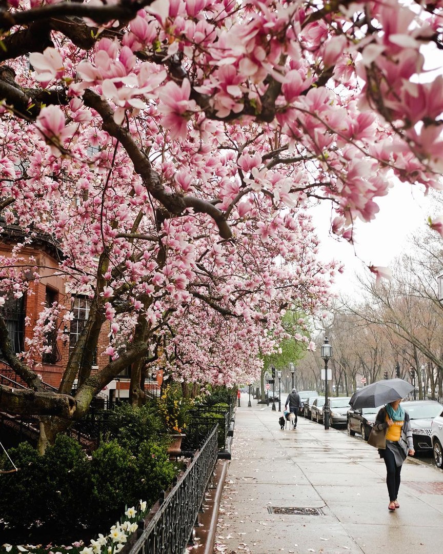 У природы нет плохой прогоды. Главное - как ты ее воспринимаешь.