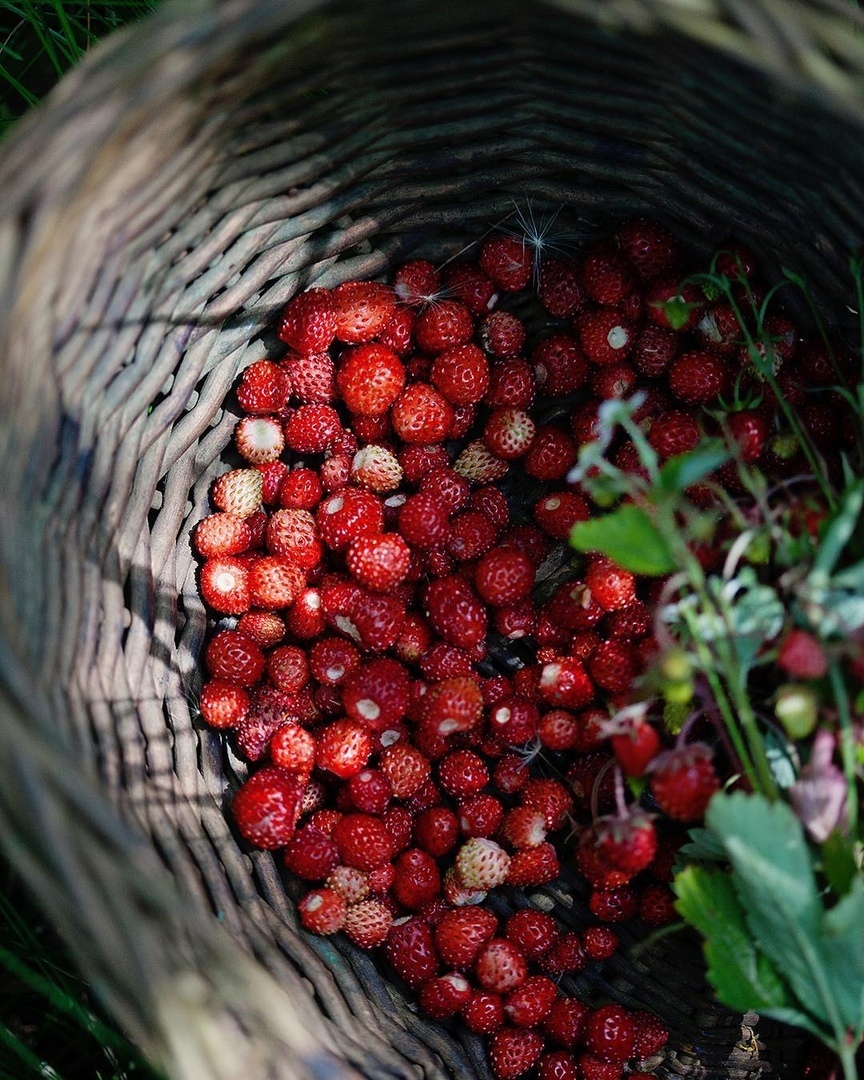 Деревенское лето - лучше лето! Согласны? - 5