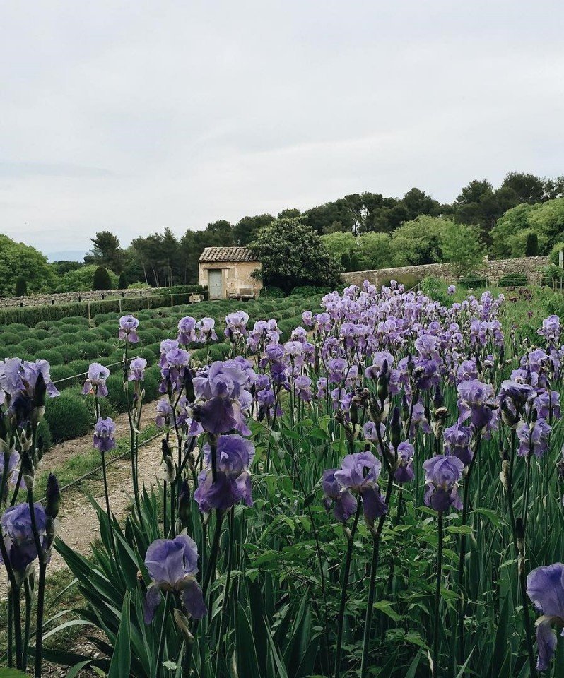 Французские зарисовки - 7