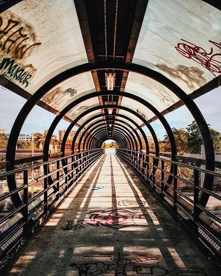 Снимки, которые радуют глаз своей симметрией 