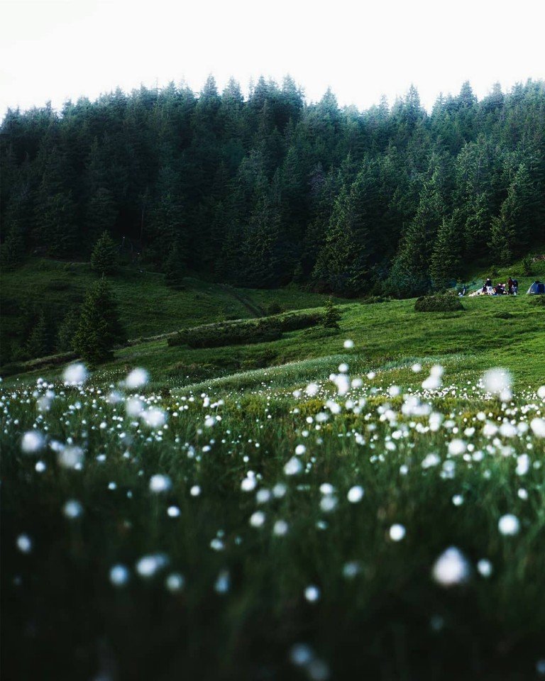 Приложите к моей душе лес и горы - 7