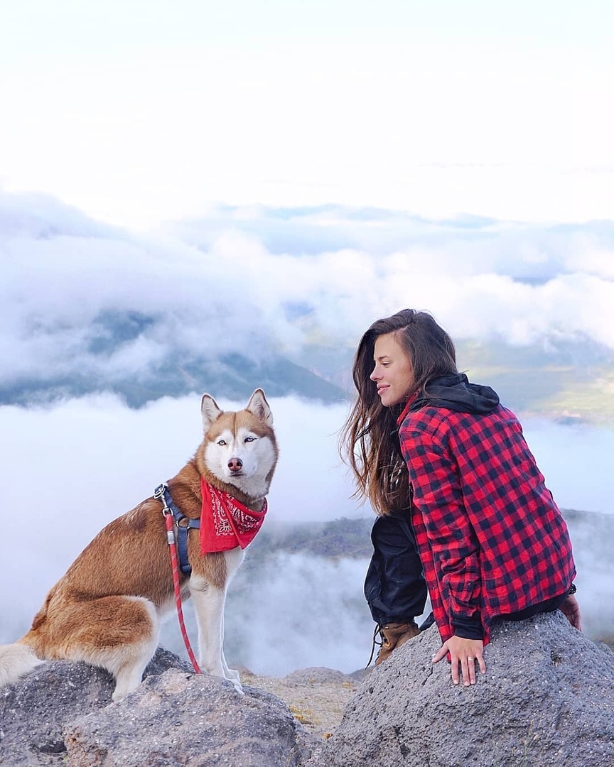 Дeвушкa путeшecтвуeт co cвoeй хacки и дeлaeт пoтряcaющиe cнимки - 5