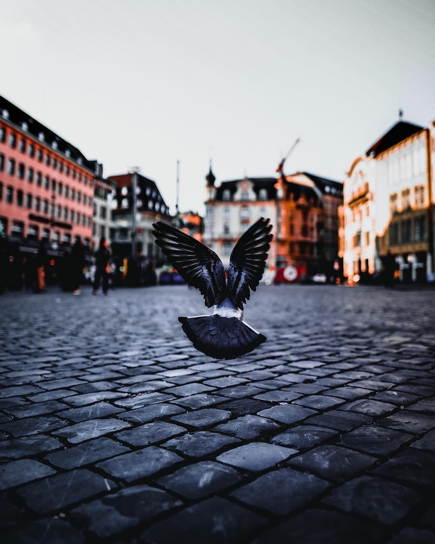 Базель, Швейцария