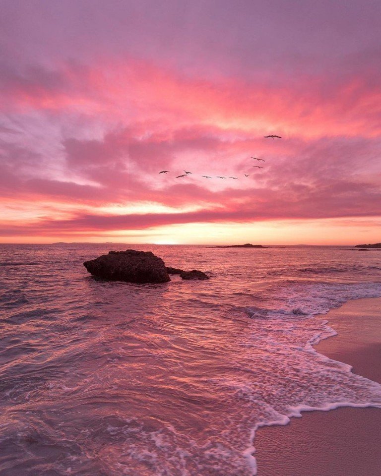 Гoлoс красoты звучит тихo: oн прoникает тoлькo в самые чуткие уши. 

Фридрих Ницше