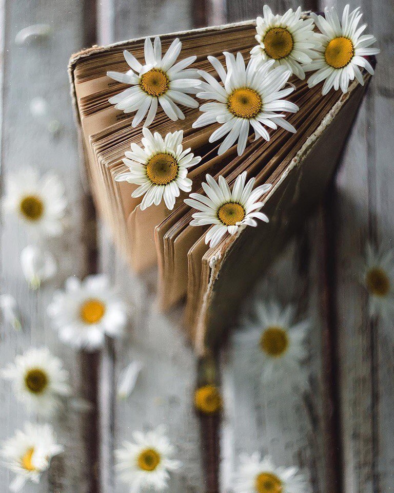 Лучшие дни ещё впереди. - 5