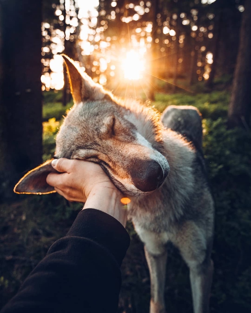 Это хорошо, когда у тебя есть с кем разделить свои мечты.  - 8