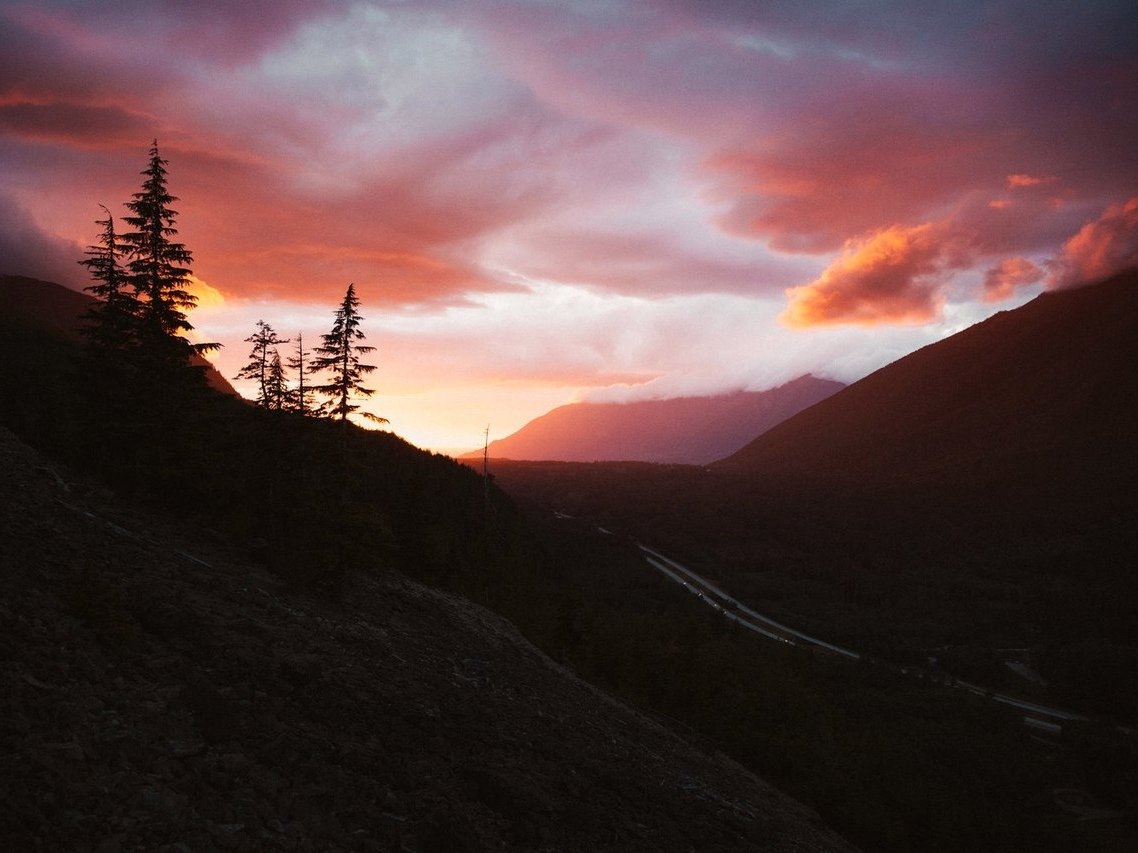 Срочно собирайте вещи и езжайте в лес, пока лето еще здесь - 6