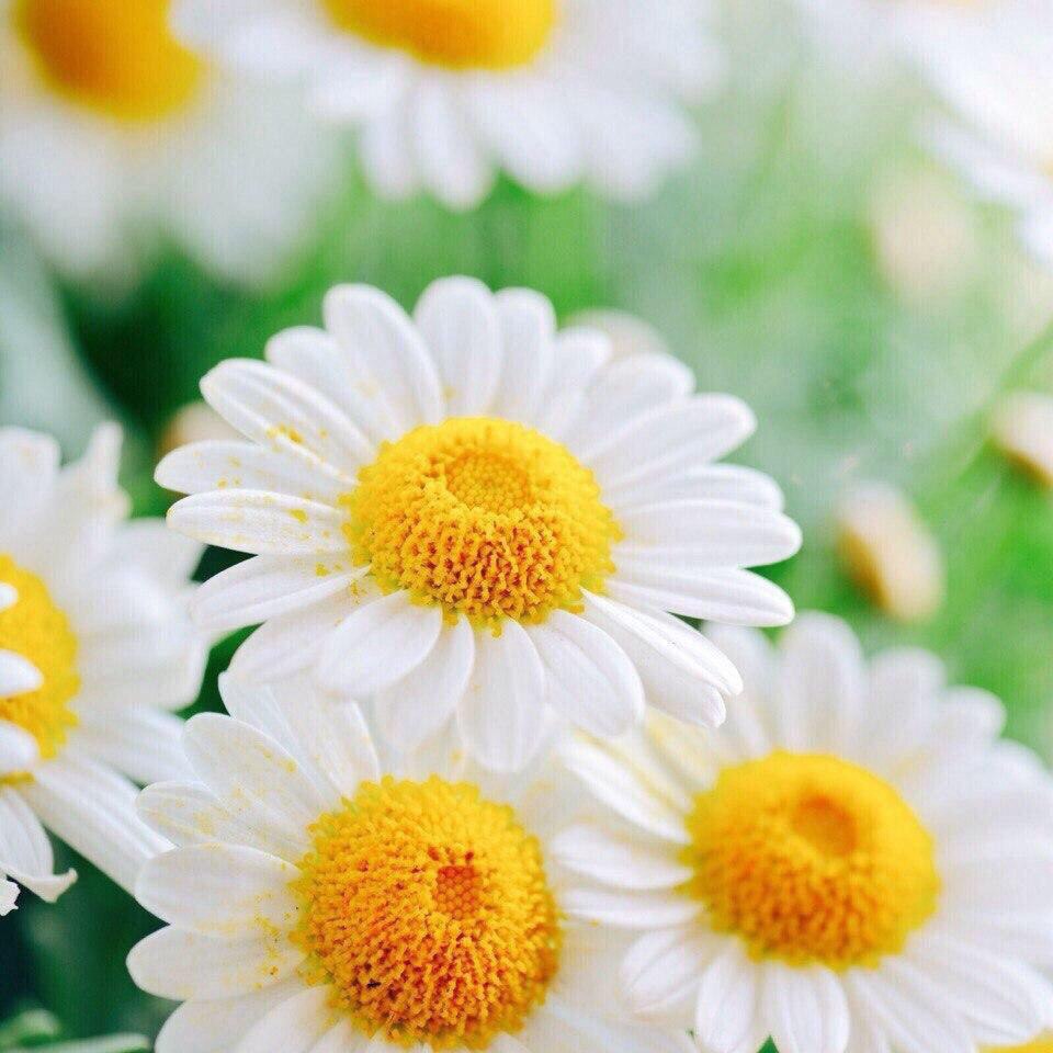 Когда тяжело, помни, что лучшие дни ещё впереди. - 5