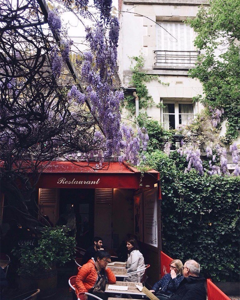 Шарм летнего Парижа - 5