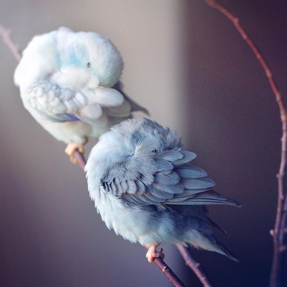 Любите – это красиво... - 8