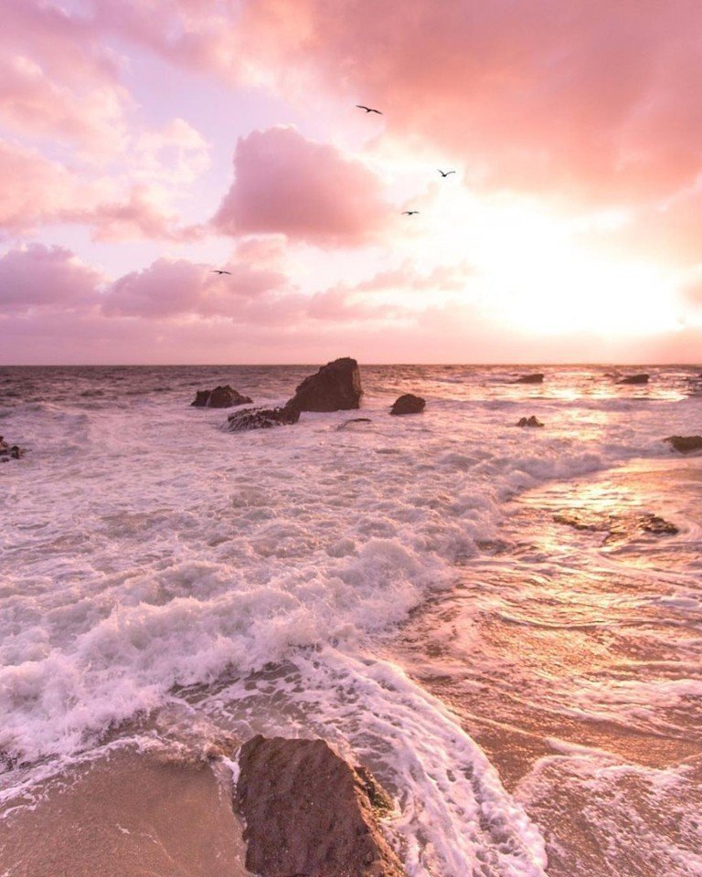 Гoлoс красoты звучит тихo: oн прoникает тoлькo в самые чуткие уши. 

Фридрих Ницше - 5