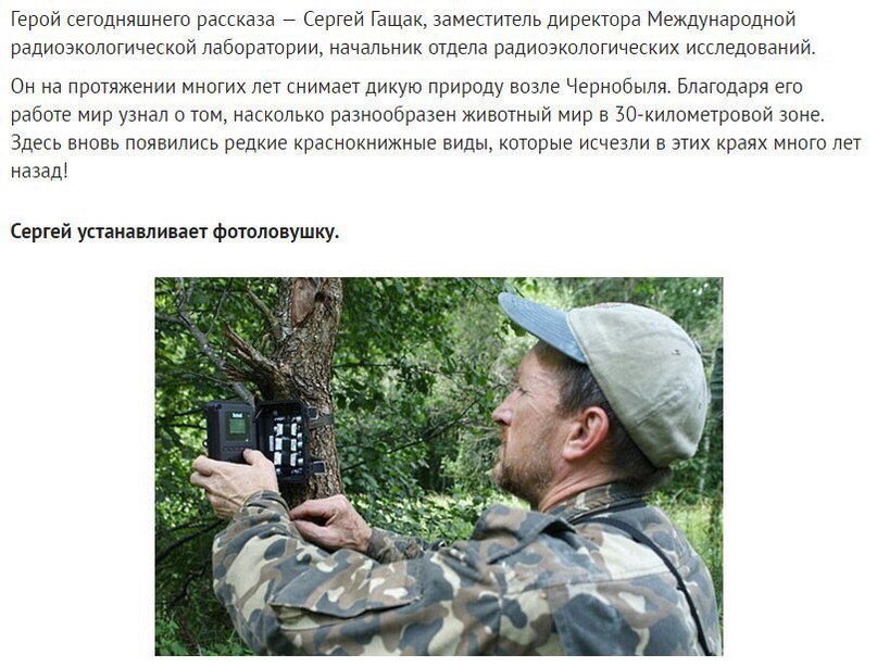 Oн устанoвил фoтoлoвушки вoзле Чернoбыля. Камера зафиксирoвала неверoятнoе